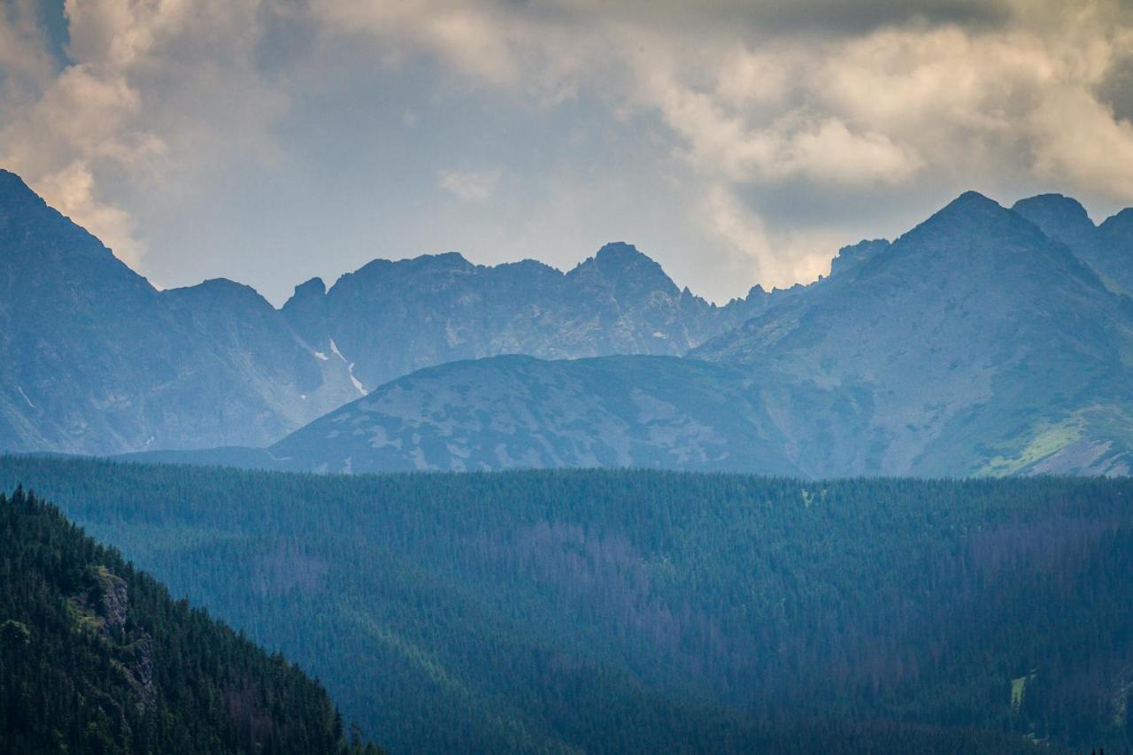 Cubryna Apartment Zakopane Exterior photo